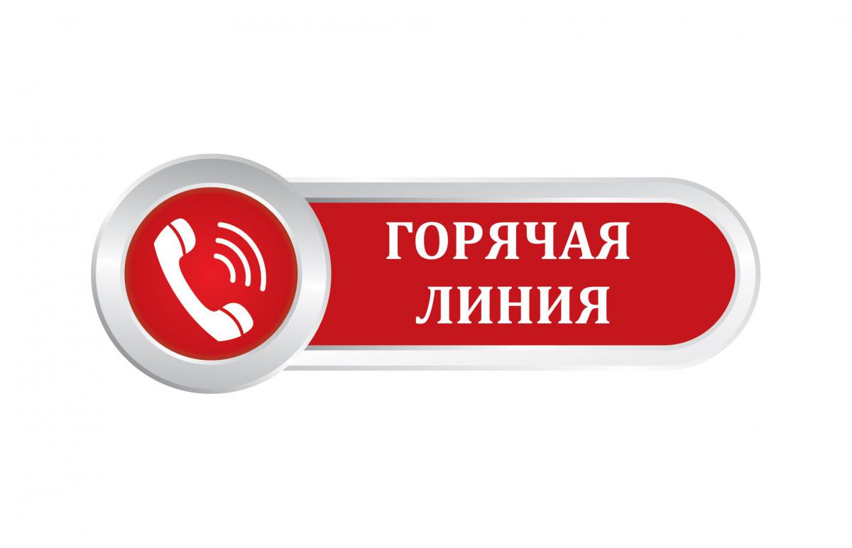 Горячая линия МБДОУ