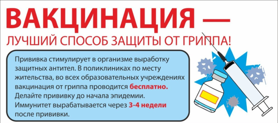 Прививка - лучшая защита от гриппа и ОРВИ! Прививка - лучшая защита от гриппа и ОРВИ!.